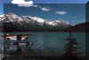 backyard.jpg (19519 bytes)