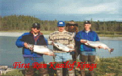 3 Kasilof kings