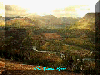 Overlooking the Kenai river