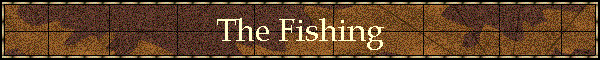 The Fishing