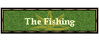 The Fishing