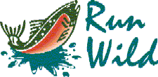 ara logo