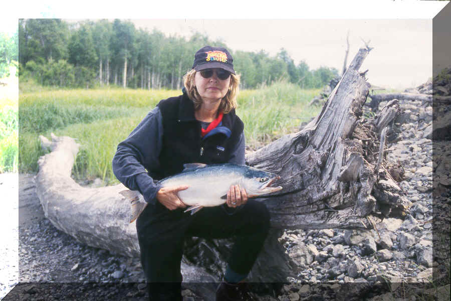 Red Salmon catch