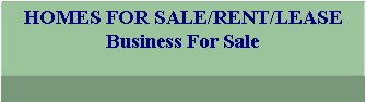 Text Box: HOMES FOR SALE/RENT/LEASEBusiness For Sale